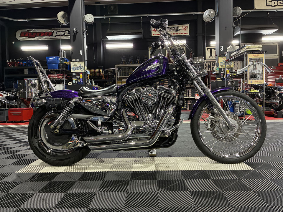 2014y XL1200V