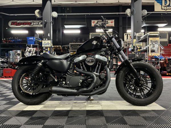 2019y XL1200X